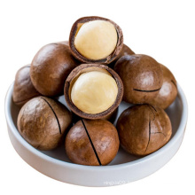 Top Grade Macadamia Nuts Wholesale Roasted Macadamia Nuts in shell with Milk Flavor